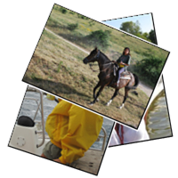 Images from Pamela Ciccarelli